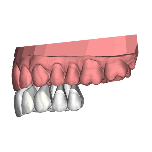 Smile Donator 3